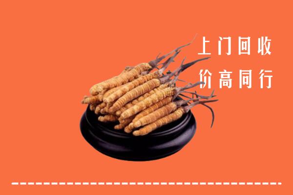 附近收购：平江县冬虫夏草回收多少钱每克